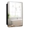 Black Aluminum Bathroom Cabinet with Mirrored Door, Adjustable Shelves and Waterproof Frame